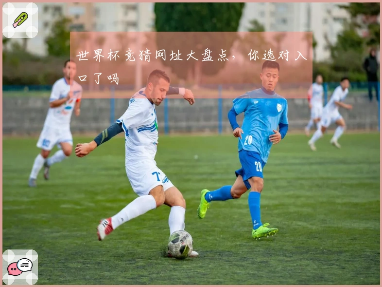 世界杯竞猜网址大盘点，你选对入口了吗