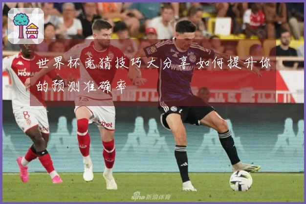 世界杯竞猜技巧大分享 如何提升你的预测准确率